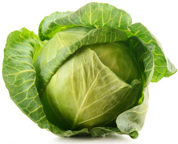 Cabbage